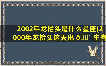 2002年龙抬头是什么星座(2000年龙抬头这天出 🌴 生有什么讲究)